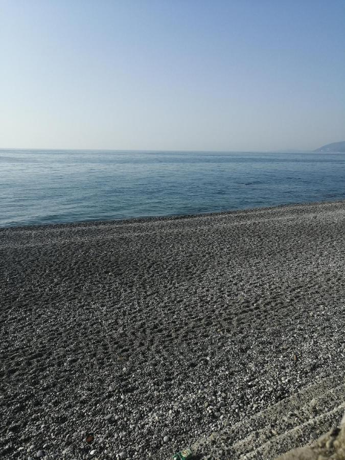 Bon Amour Gagra Dış mekan fotoğraf